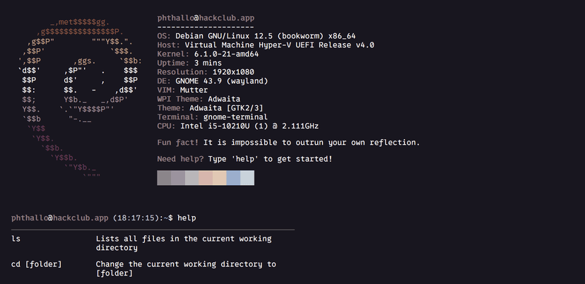 Project "Terminal Portfolio"